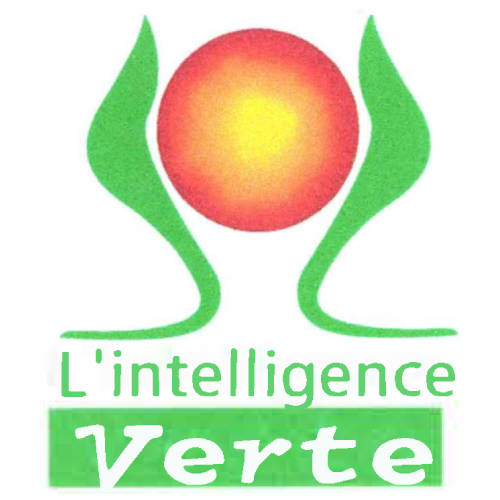 logo intelligence verte 2 Agro Alyzés Environnement